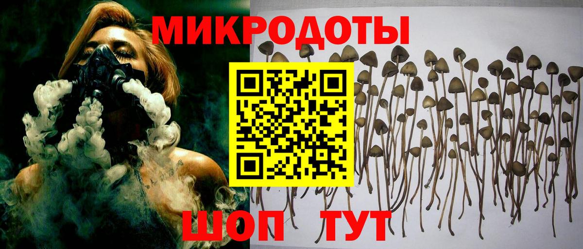 Галлюциногенные грибы мухоморы  Вход с VPN  Алексин 